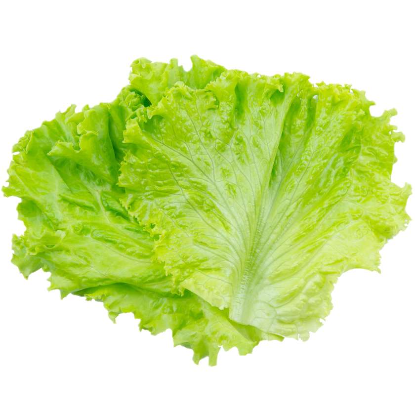 Lettuce