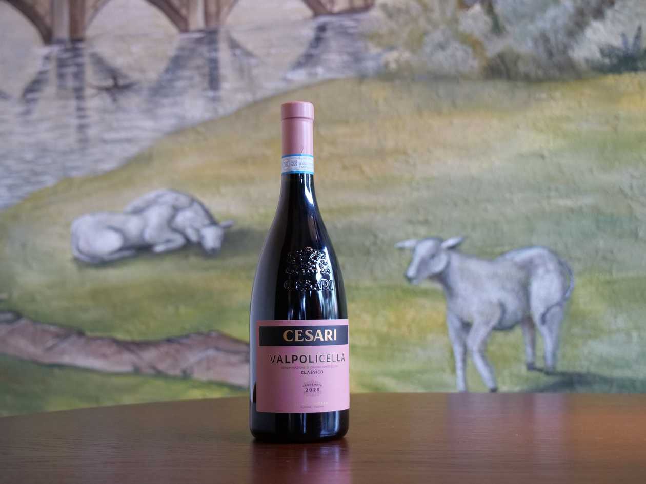 Вино червоне сухе Valpolicella Classico, Cesari