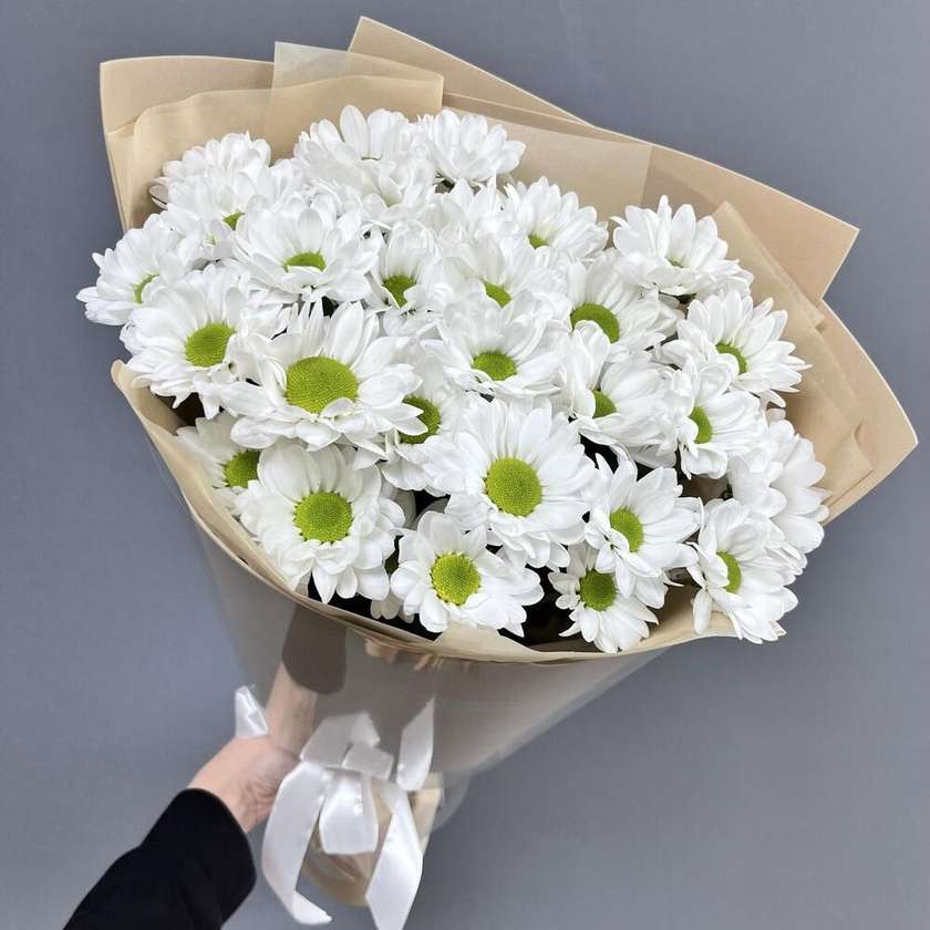 White chrysanthemums 11 pcs.