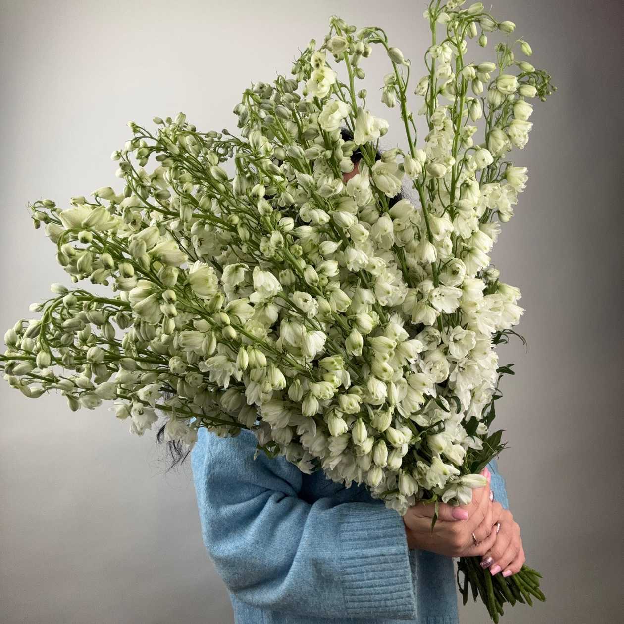 White delphinium - 1 pcs