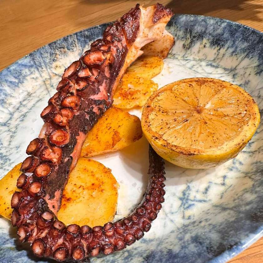 Caracatiță Spania à la Revolución