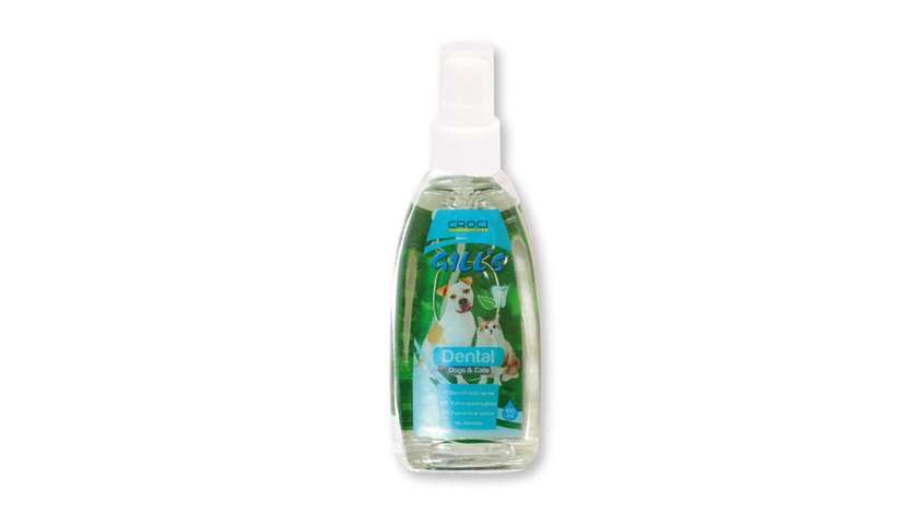 Toothpaste Spray For Dogs & Cats - NA3052087