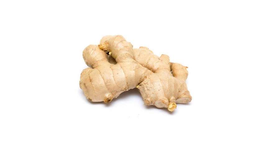 Ginger