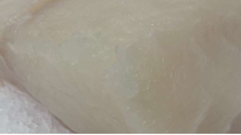 Wild Halibut Fillet 350g