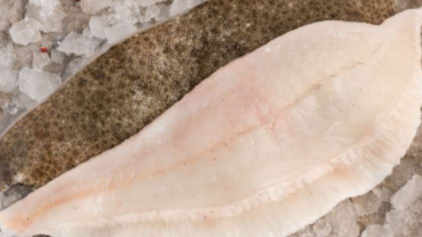 Turbot Fillet 300g