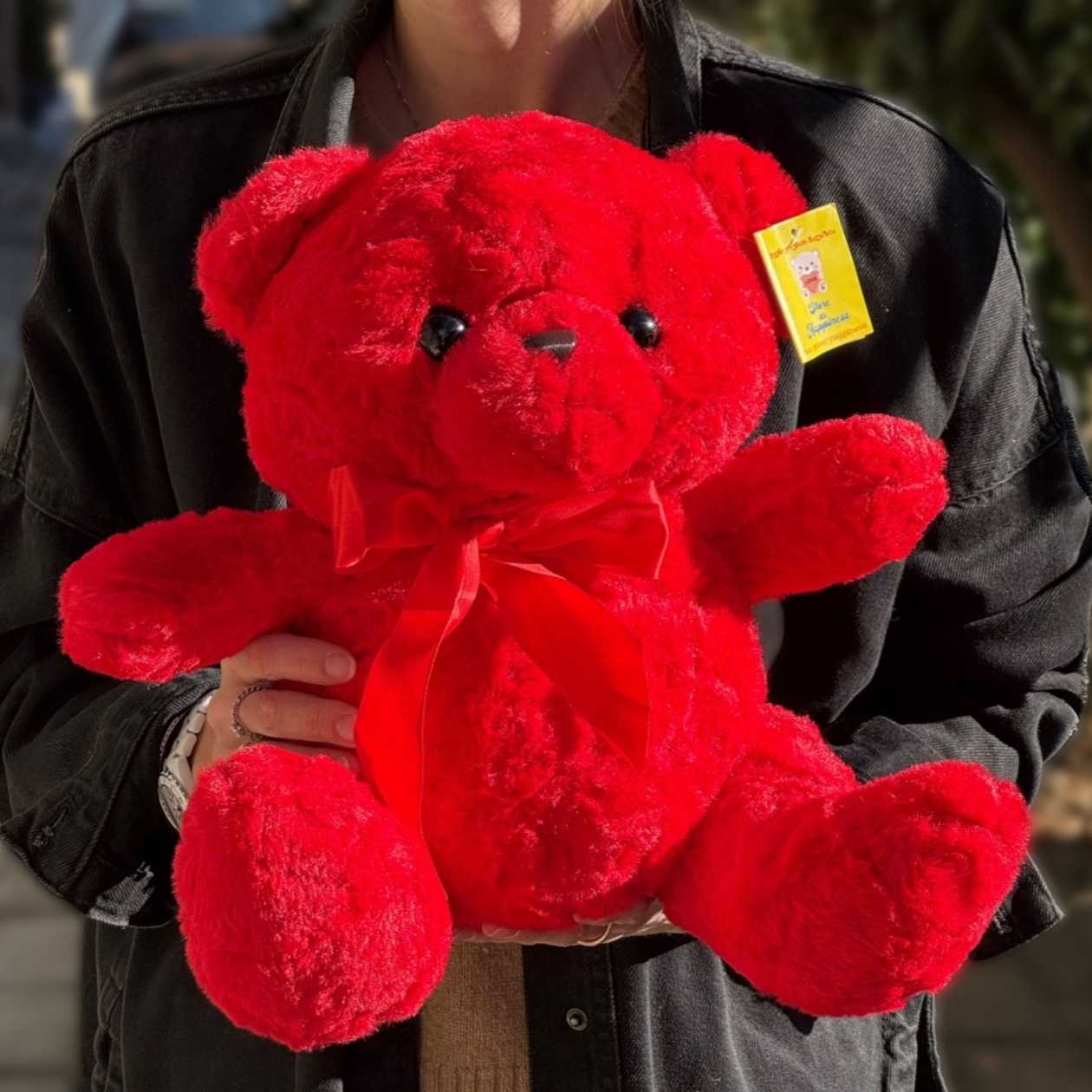Soft toy teddy bear red with red ribbon