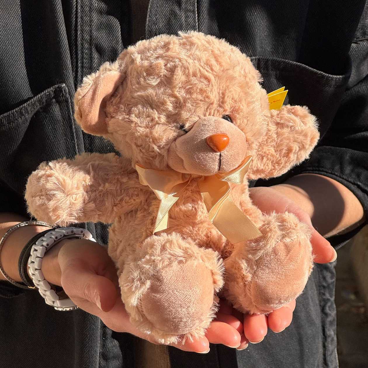 Soft toy teddy bear caramel (19cm)