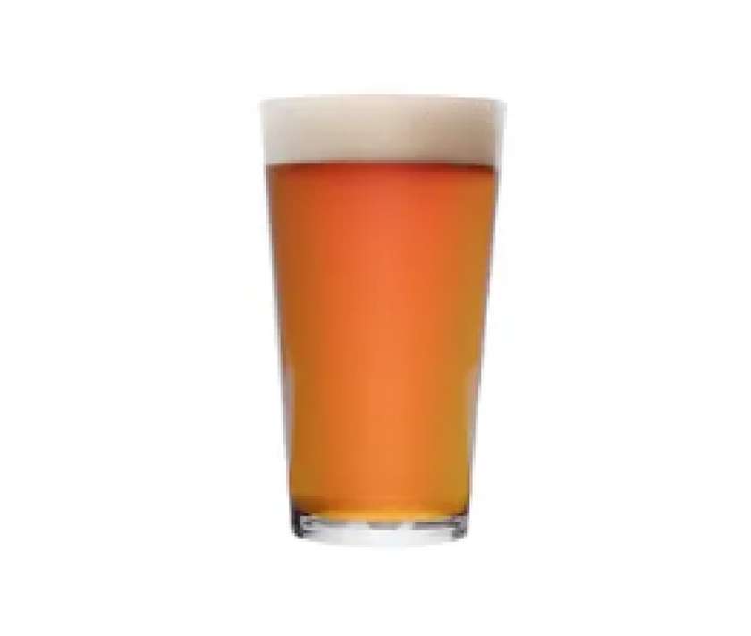 LAGUNITAS INDIA PALE ALE