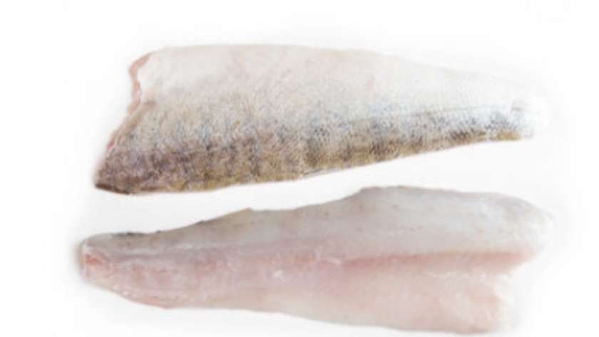 600g Zander Fillet