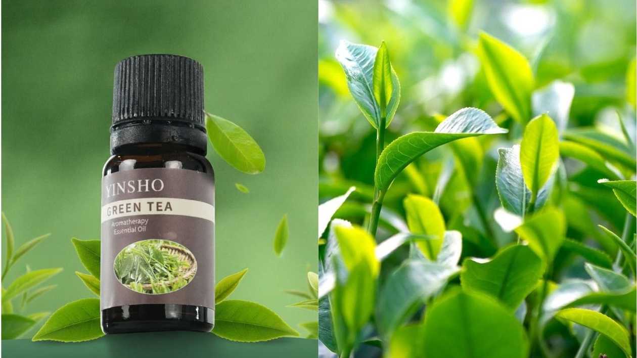 Yinsho Essential Oil - Green Tea 10ml