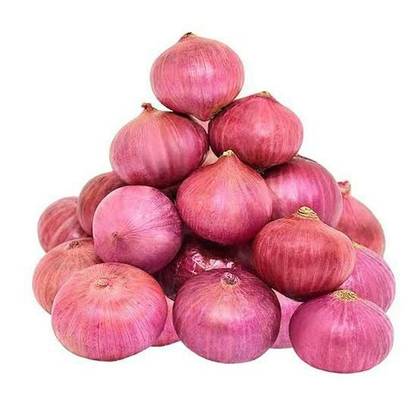 🧅 Fresh & Flavorful Purple Onions