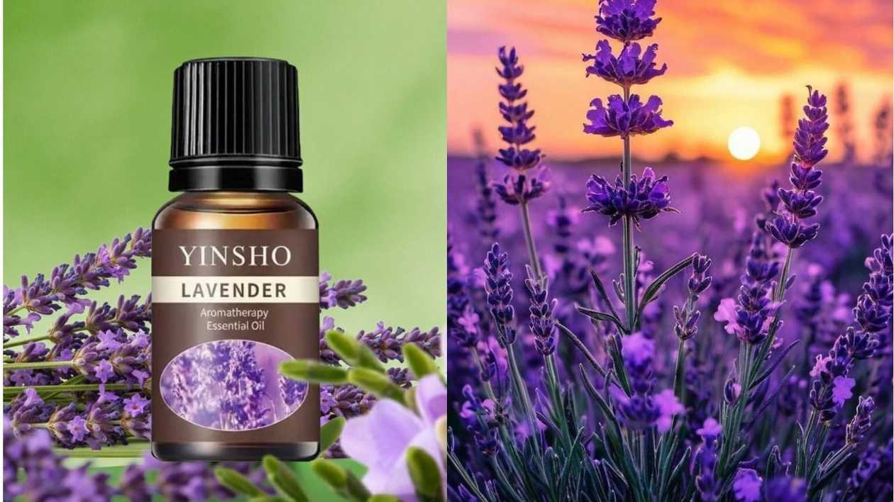 Yinsho Lavender Essential Oil - 10ml