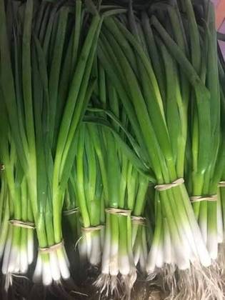 Fresh Green Onions (Spring Onions) 🌱