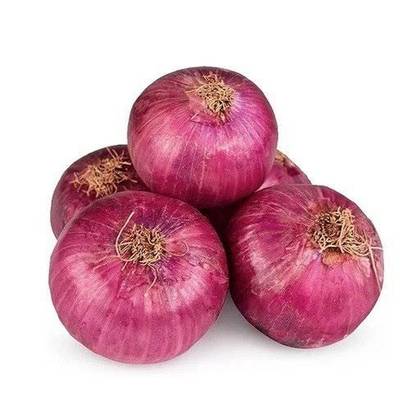 🧅 Fresh & Flavorful Purple Onions