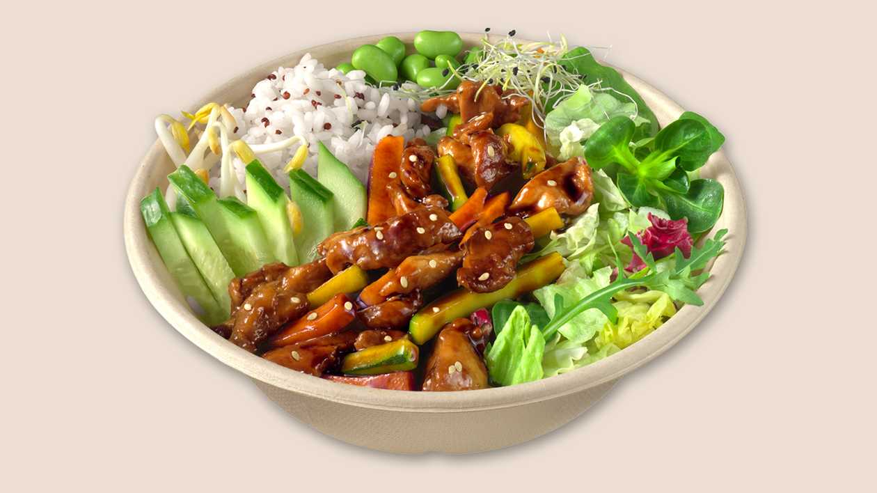 Teriyaki Bowl
