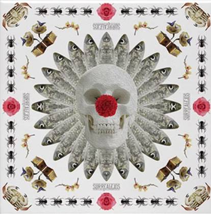 Skull and Crab