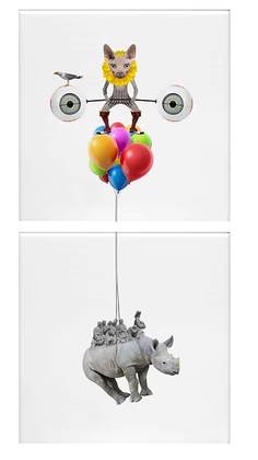 Fly Cat - Set of 2