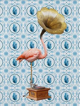Sound of Flamingo