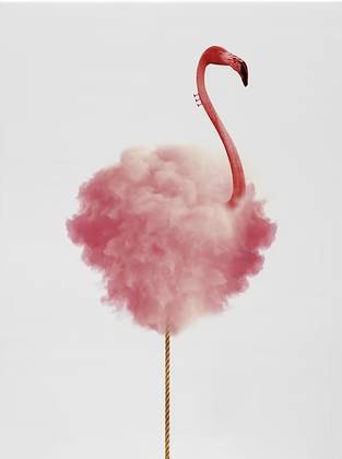 Candy Cotton