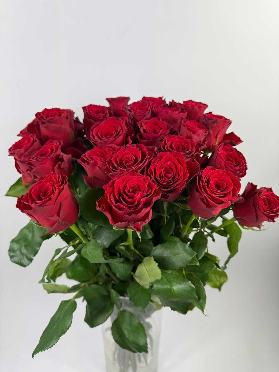 Red Rhodos Rose 70cm