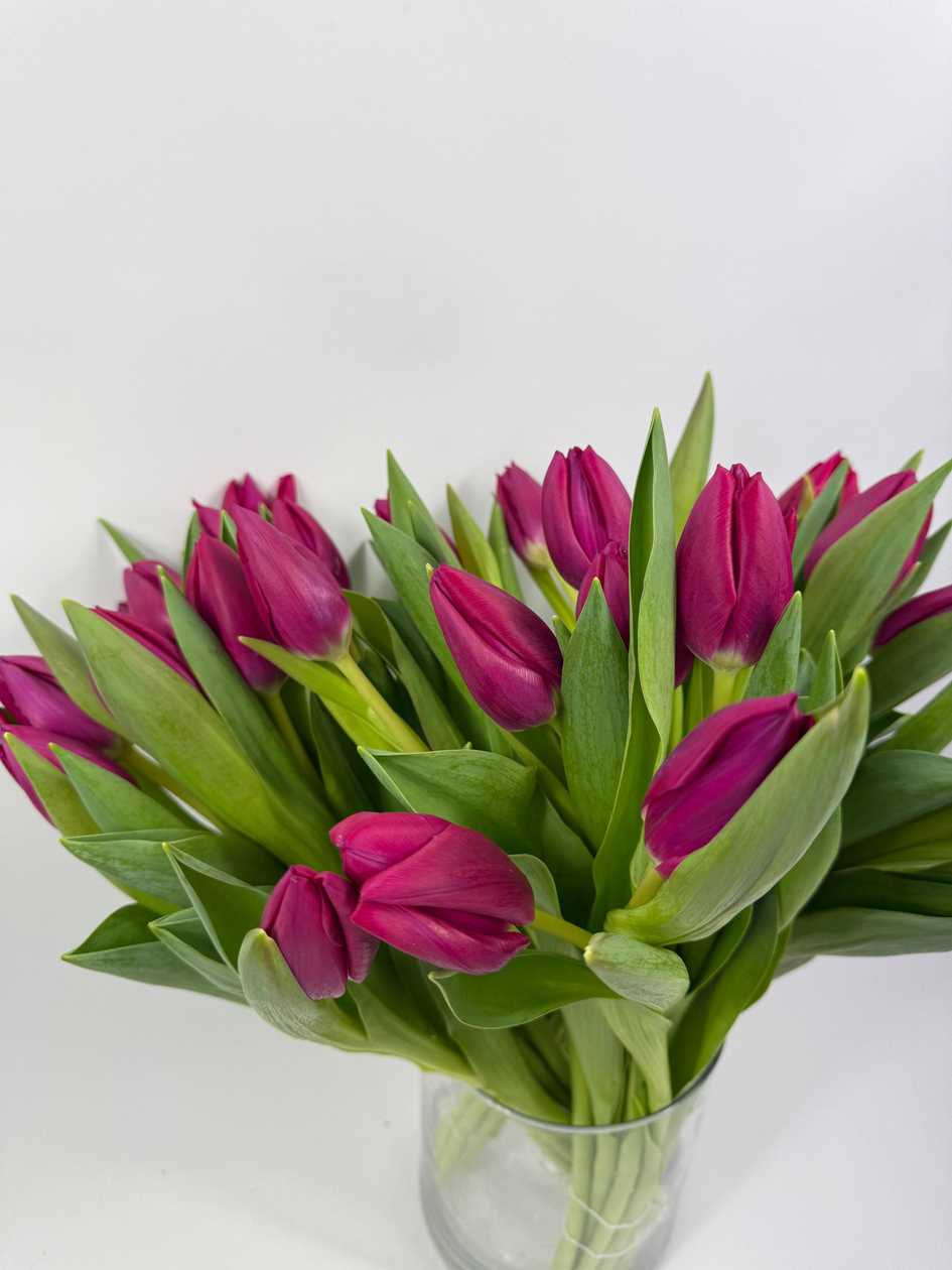 Pink Adour Tulips