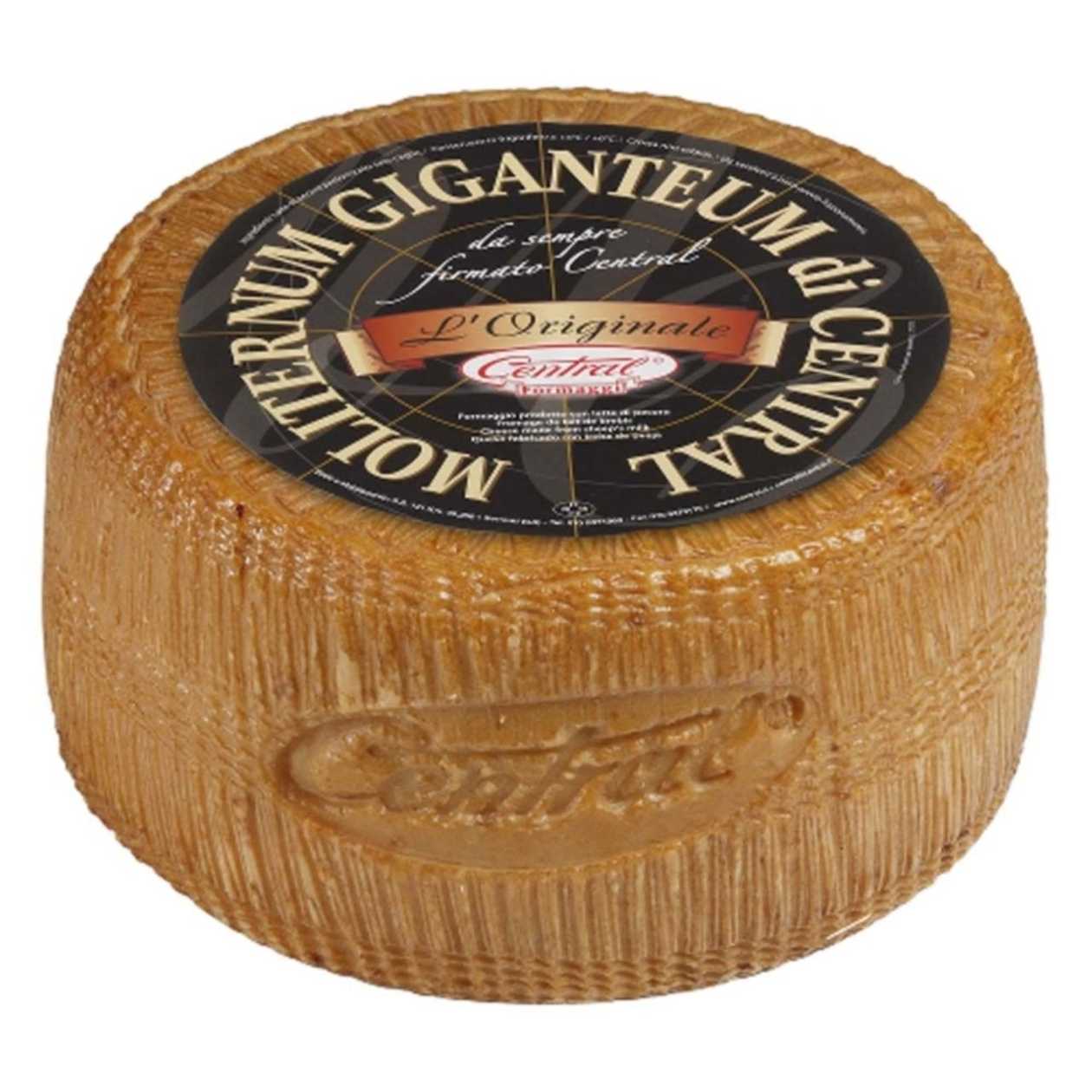 pecorino Moliterno