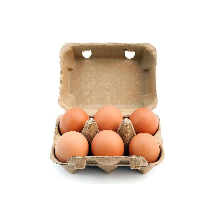 Ovos L size (Eggs)