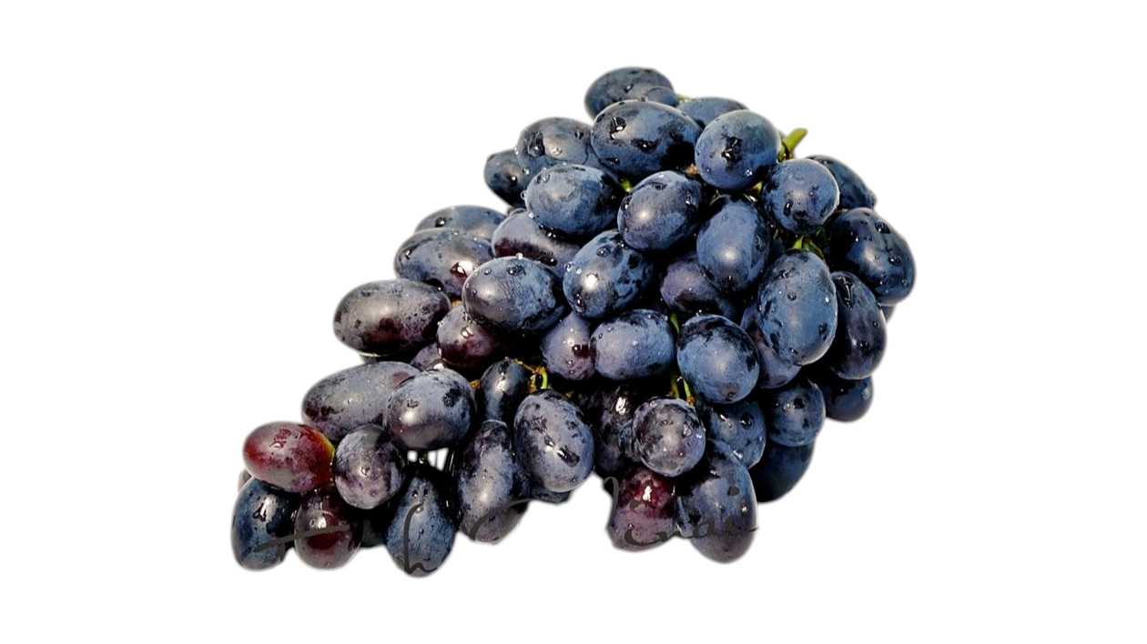 Royal grapes black "Holland" 0.5-0.6kg