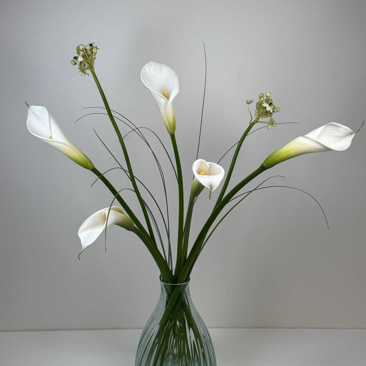 Calla Lily