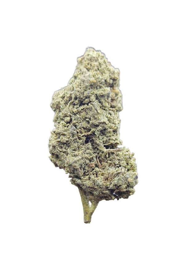 Flor PHC 30% Harlequin 1g