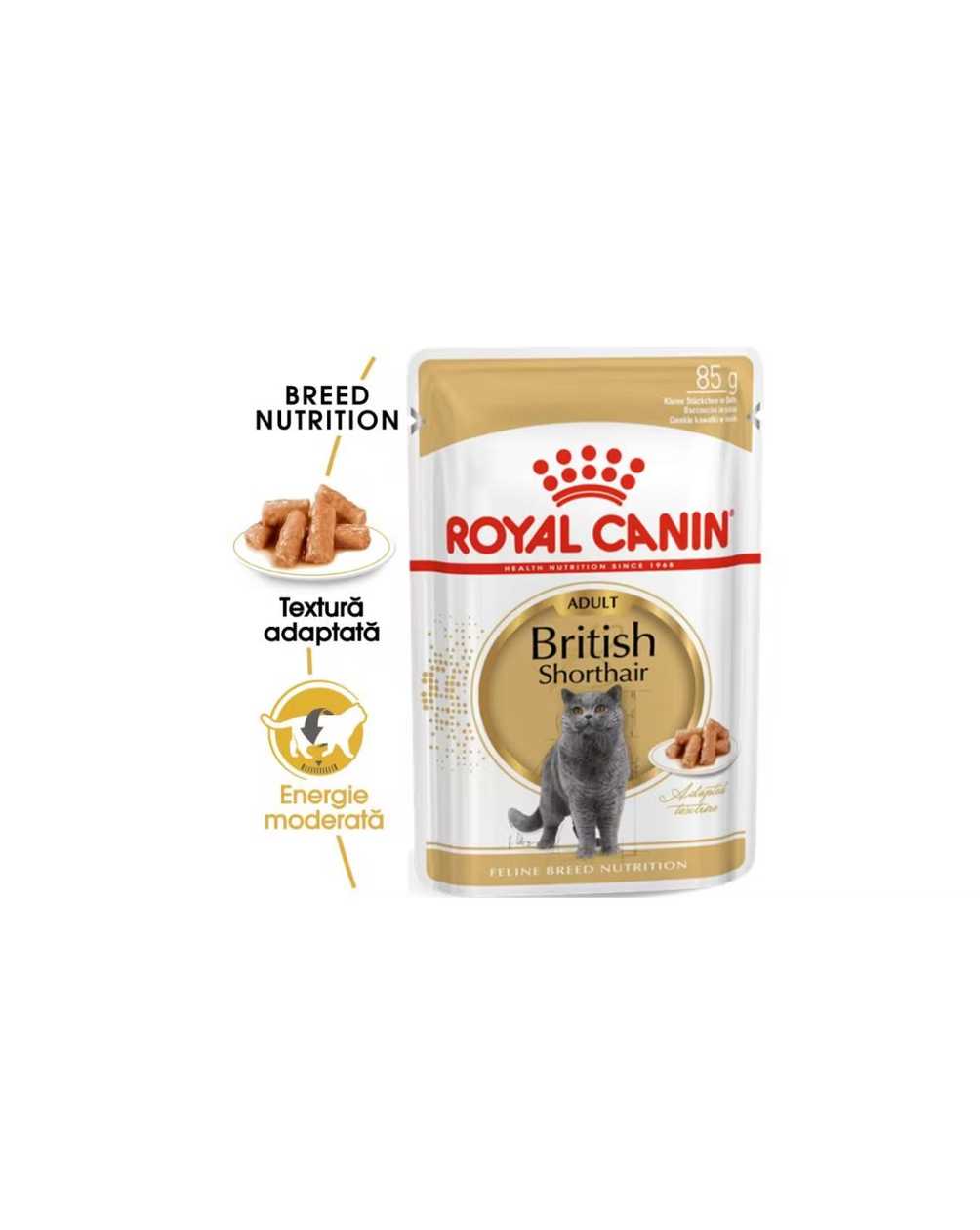 Royal Canin British Shorthair Adult Wet Cat Food (in gravy), 85 g