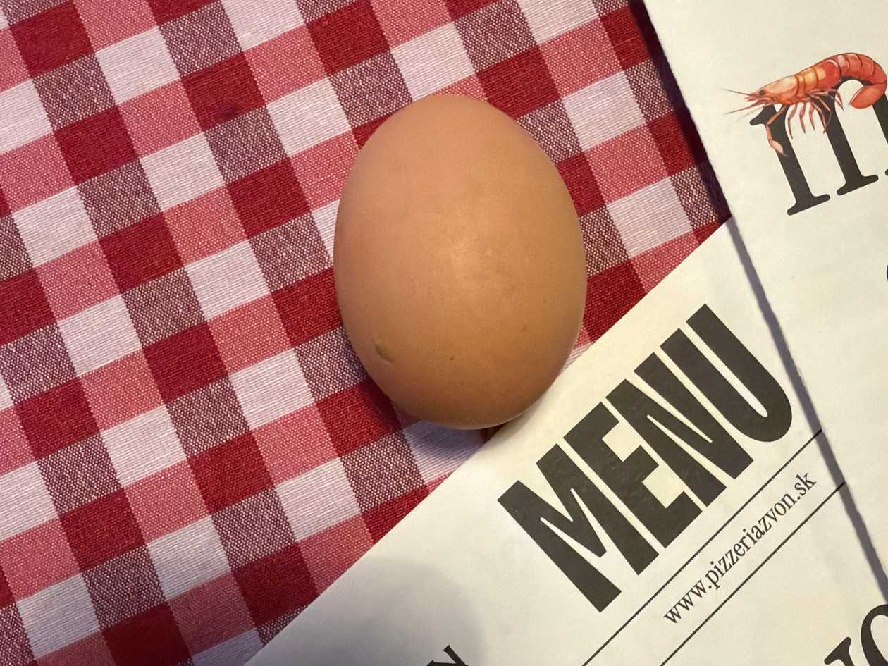 Egg