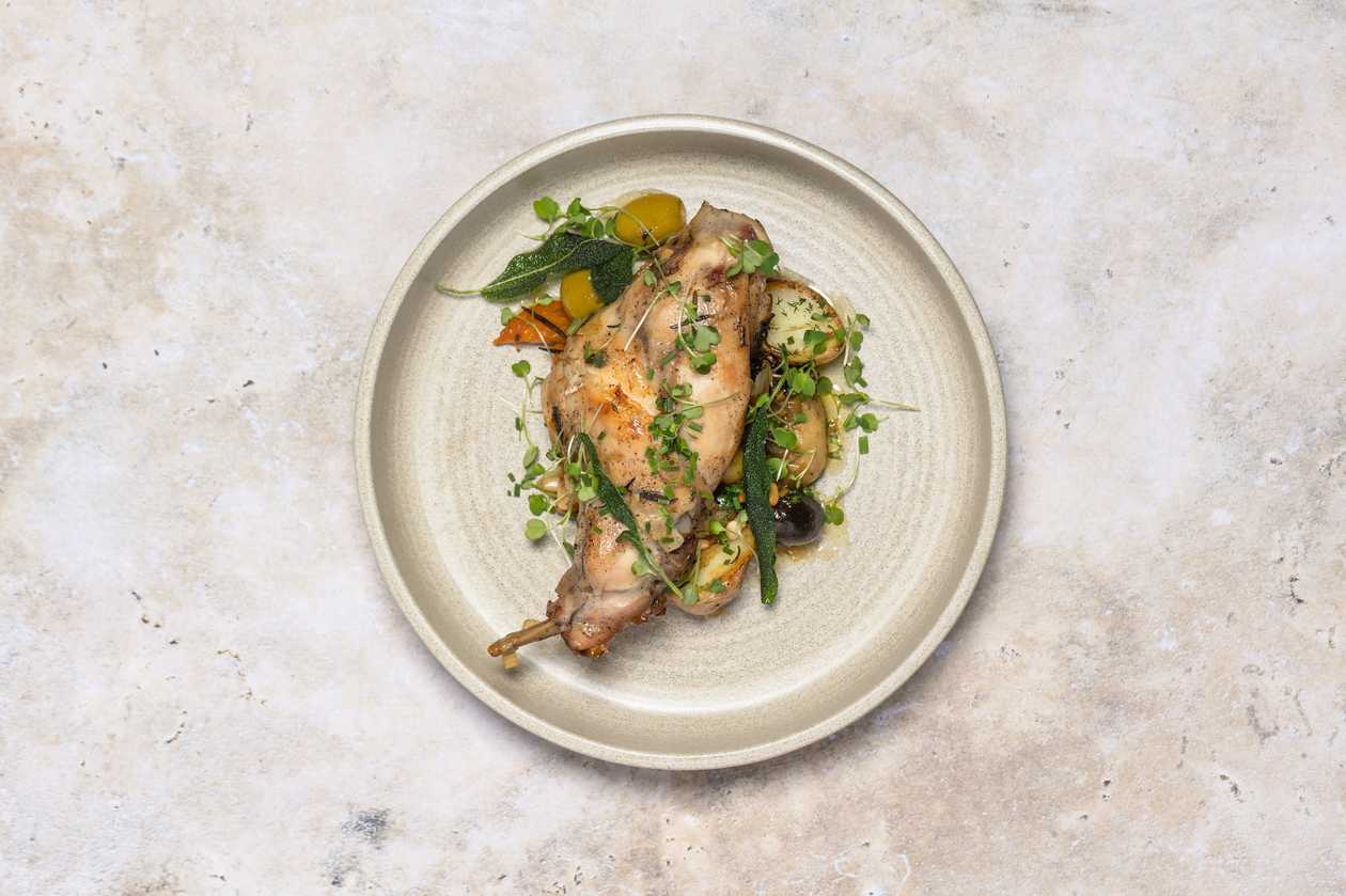 TROŠKINTA TRIUŠIO KOJA