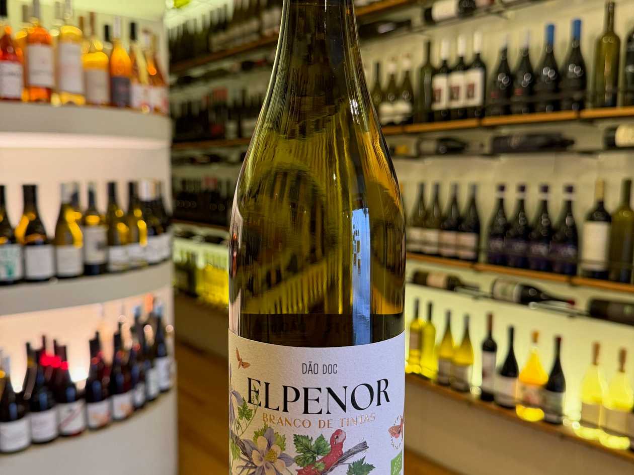 Julia Kemper Elpenor branco de tintas 2020