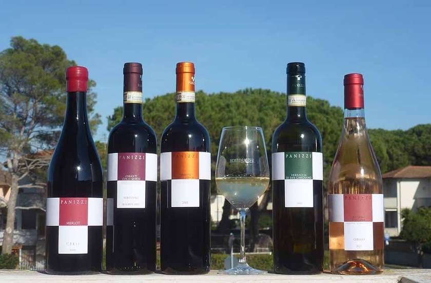 Panizzi Chianti Colli Senese Riserva 2021 DOCG