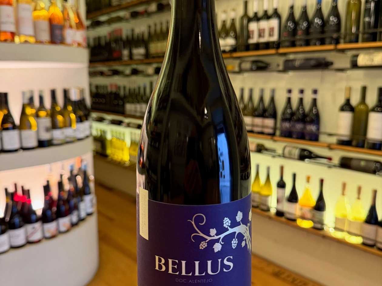 Bellus tinto syrah 2024