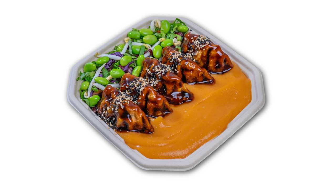 Gyoza-teriyaki Chicken Bowl