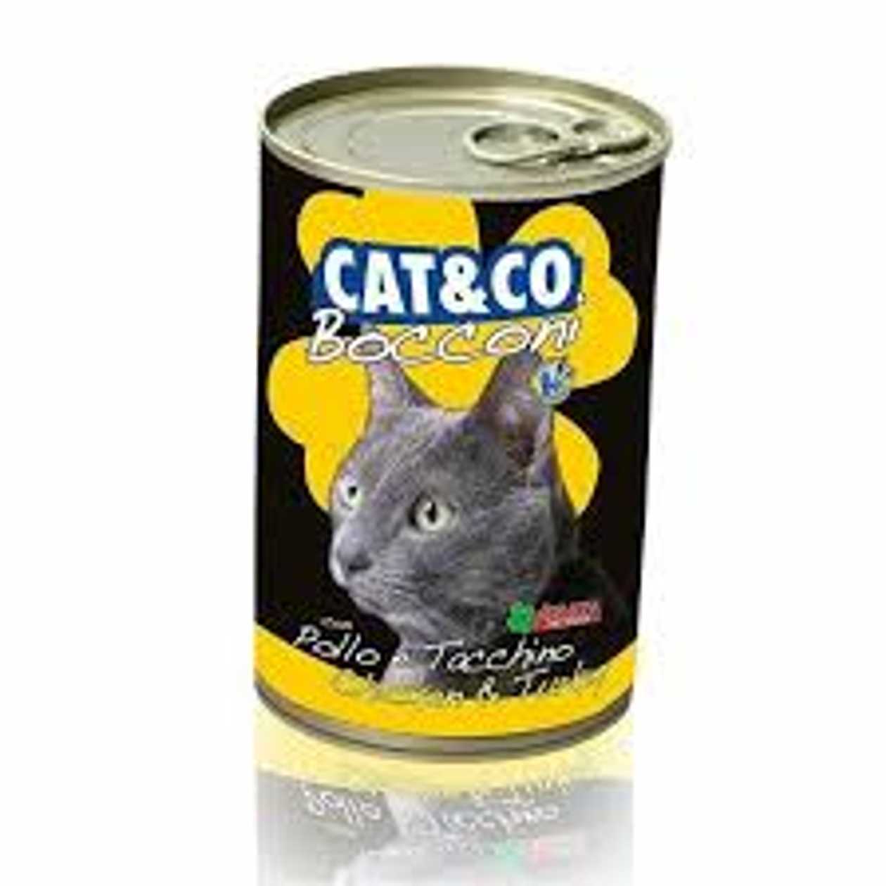 CAT & CO WET GAME 405GR