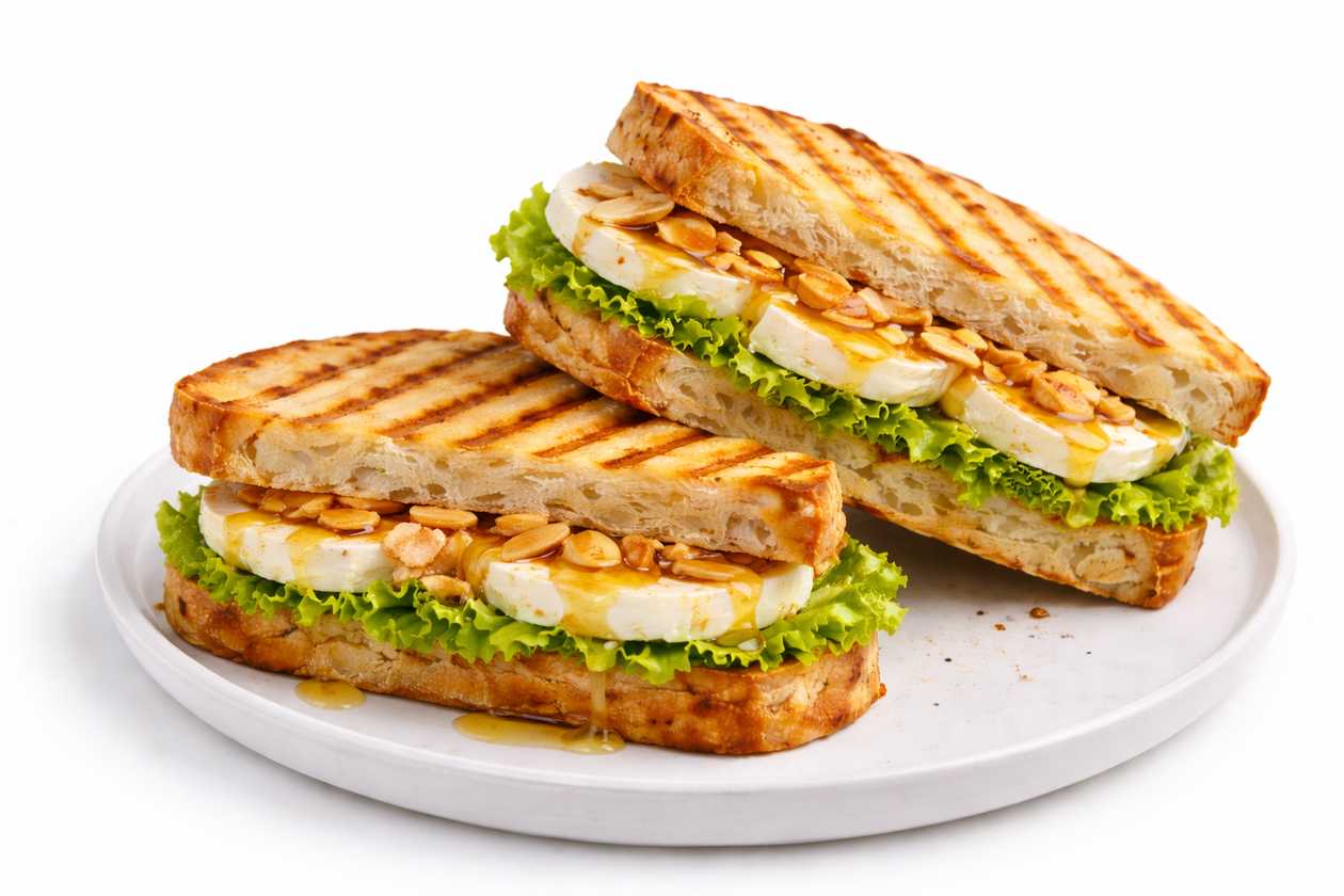 Fresh Cheese Toasted Sandwich