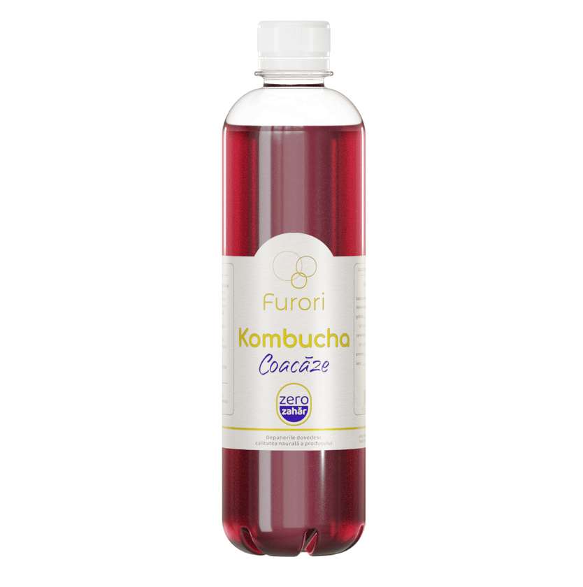 Furori – Kombucha cu Aroma de Coacaze 500 ml