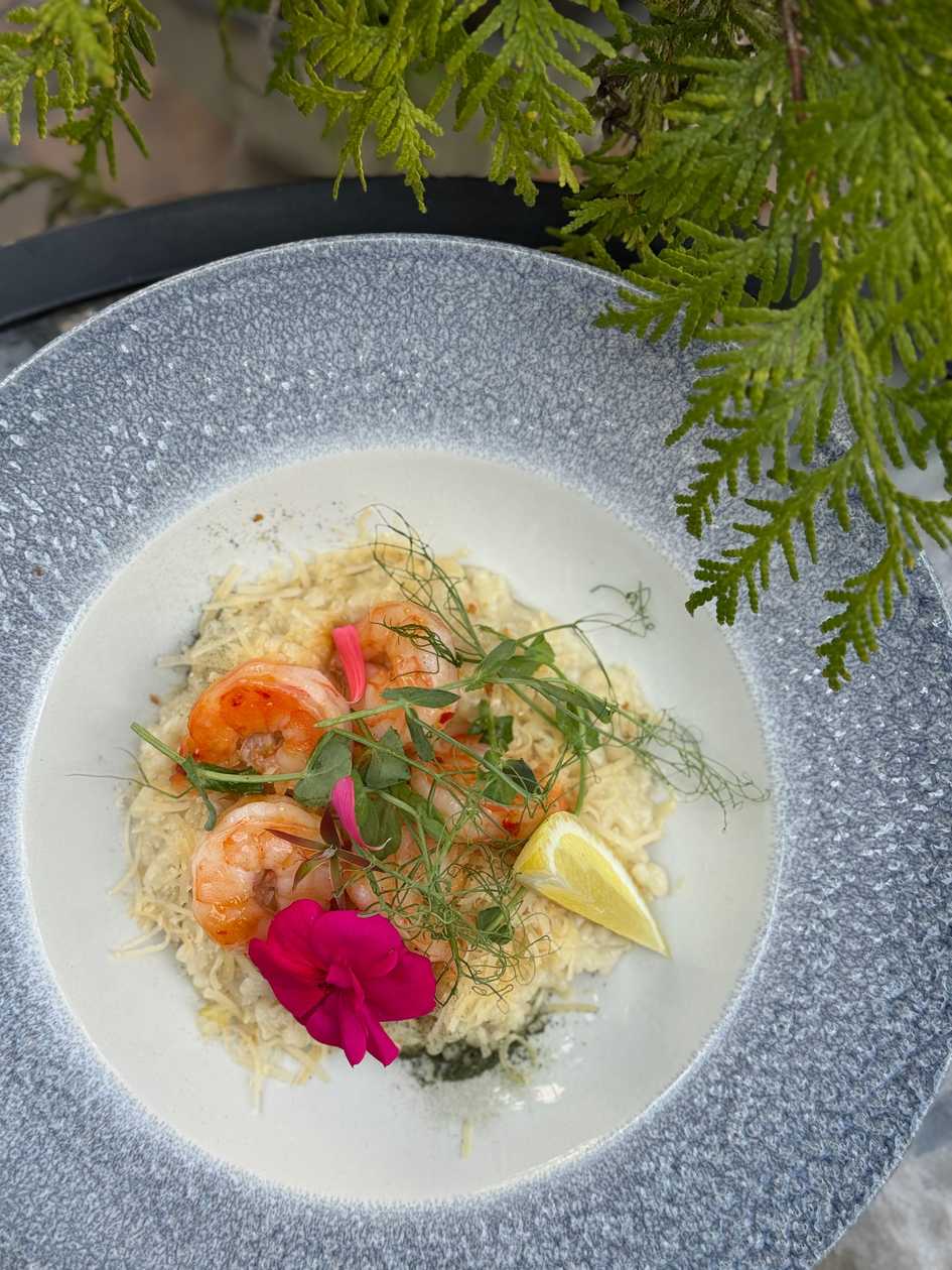 Wild garlic risotto with king prawns