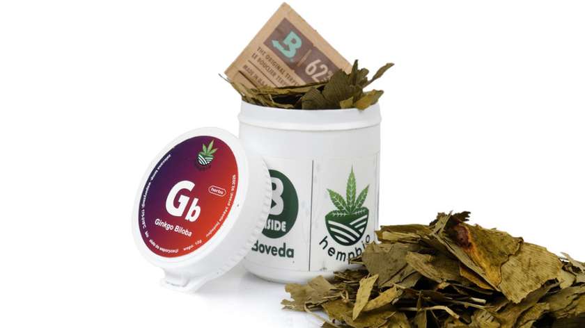 Ginko Bilboa do Aromaterapii