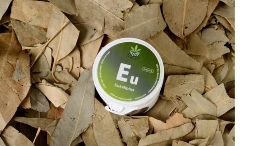 Eukaliptus do Aromaterapii