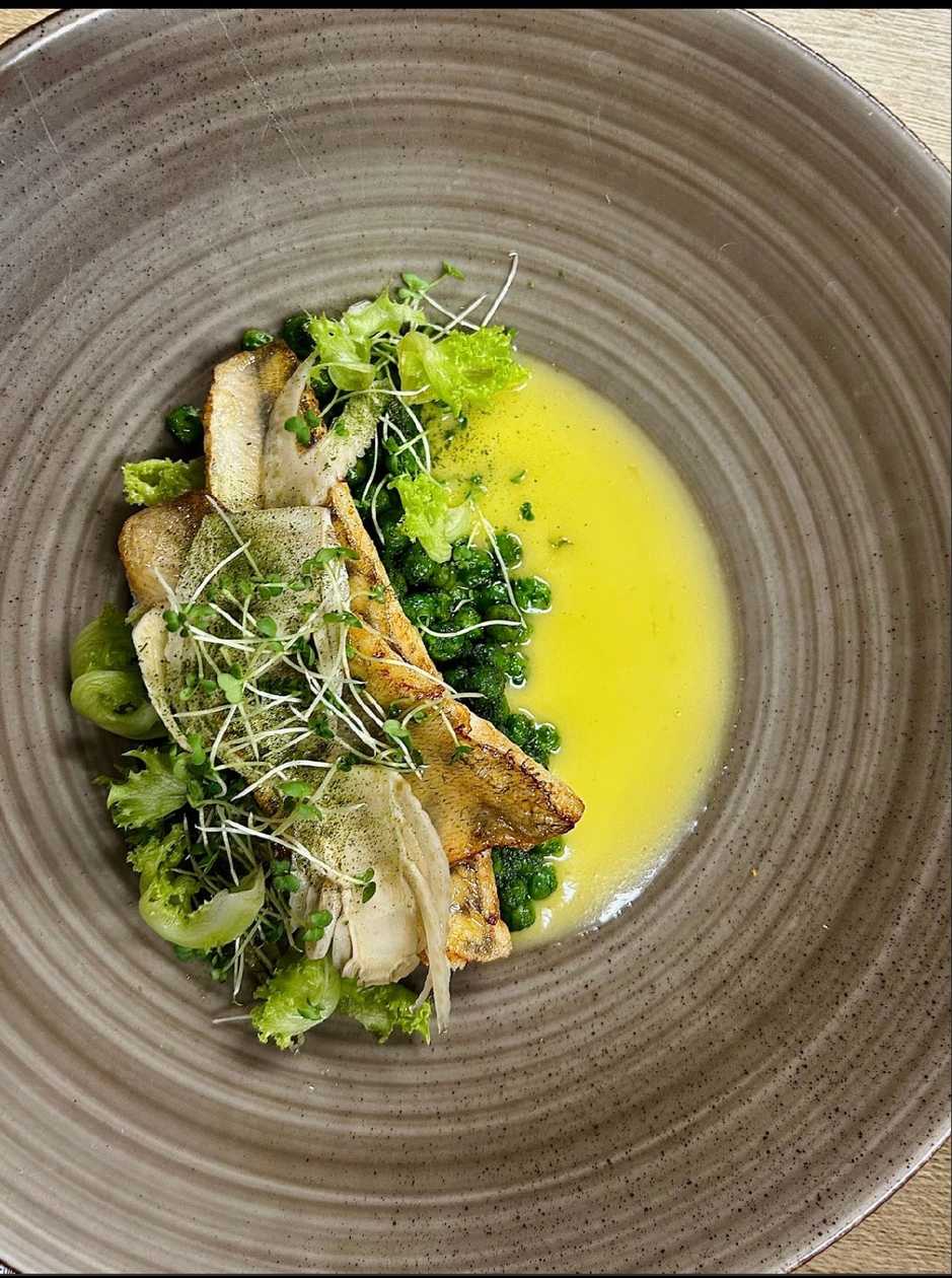 Lake Peipus Pike Perch