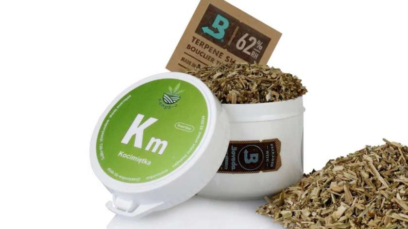 Kocimiętka do Aromaterapii