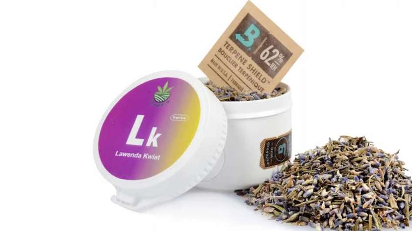 Lawenda do Aromaterapii