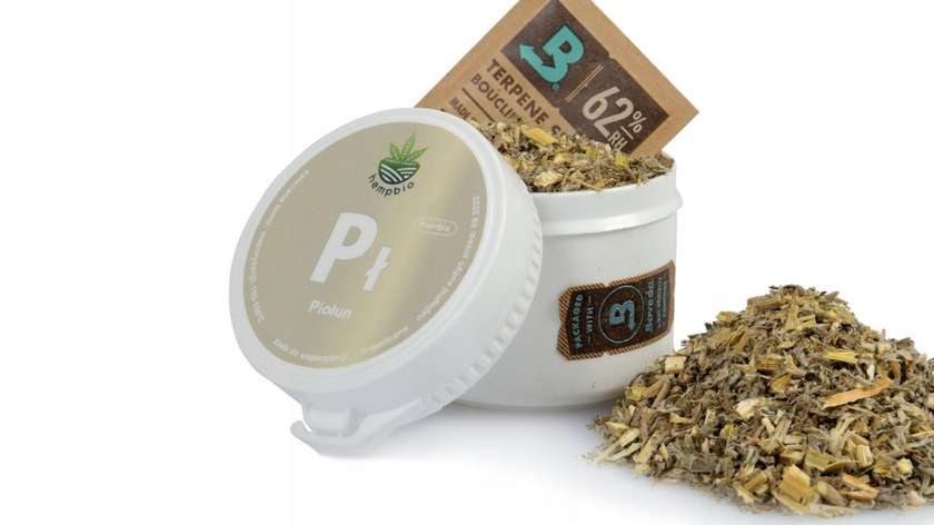 Piołun do Aromaterapii