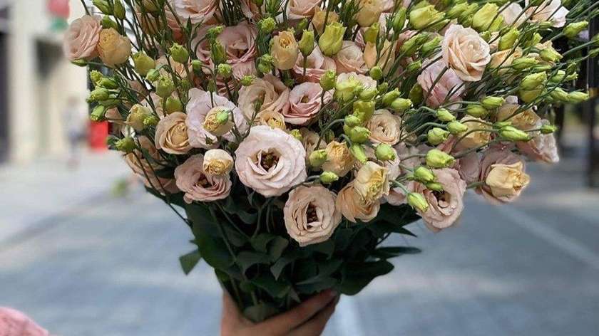 Eustoma 70 cm, 9 vnt.