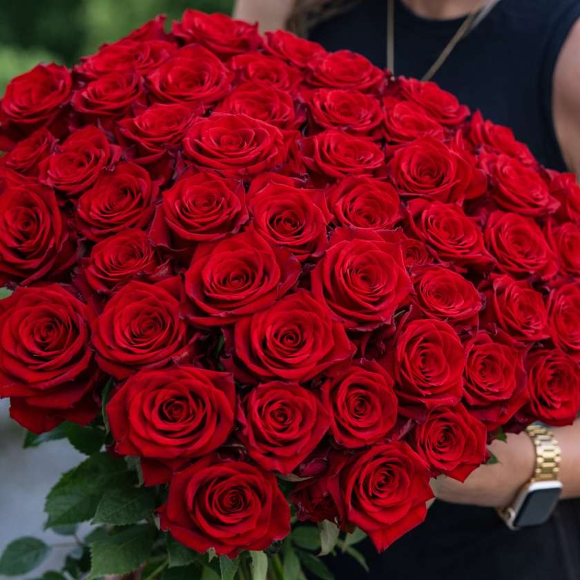 Rose Bouquet Explorer (49pcs)