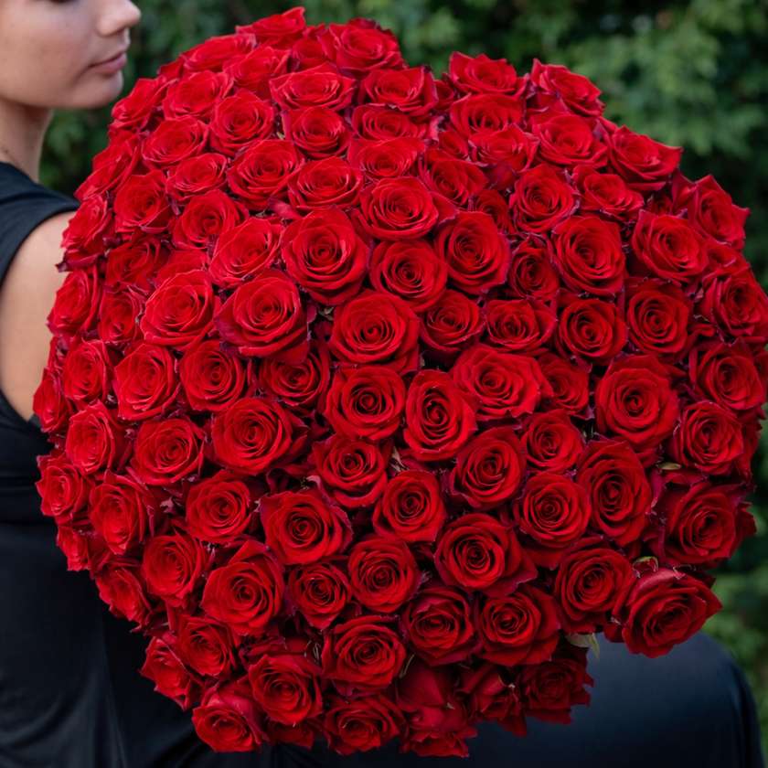 Rose Bouquet Madam Red (101pcs)